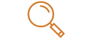 zoom icon