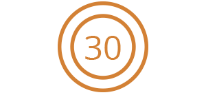 30 mph icon
