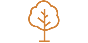 tree icon
